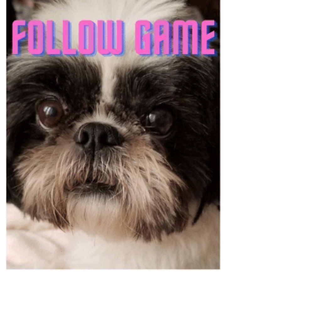***My First Follow Game!***